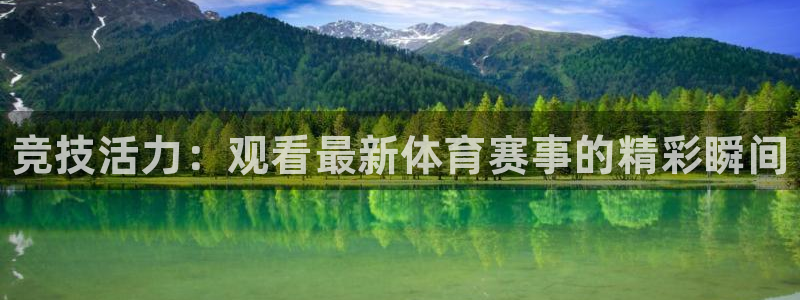 欧亿体育官方正版app神州：竞技活力：观看最新体育赛事的精彩