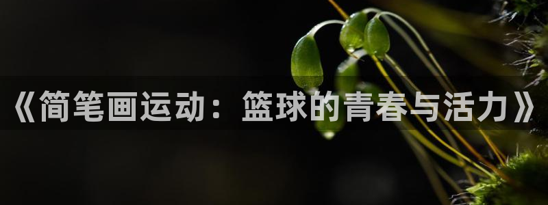 欧亿体育官方正版app娱乐代理怎么样：《简笔画运动：篮球的青