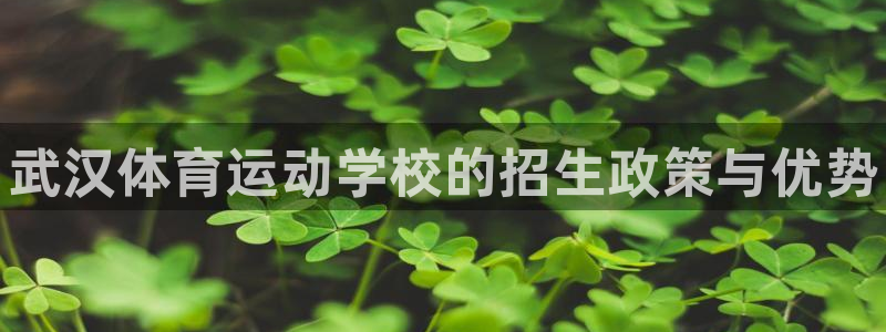 oety欧亿体育官网下载平台注册要钱吗安全吗：武汉体育运动学