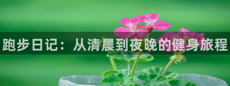 oety欧亿体育官网下载平台假的吗是真的吗吗：跑步日
