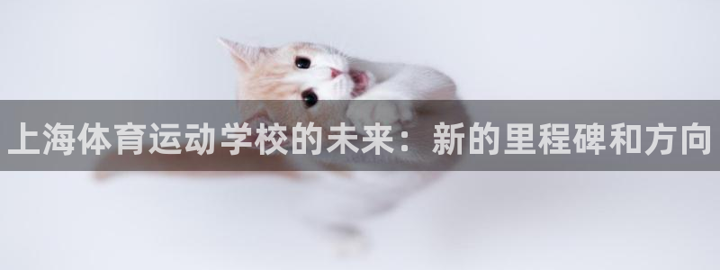 欧亿体育官方正版app集团E.ON