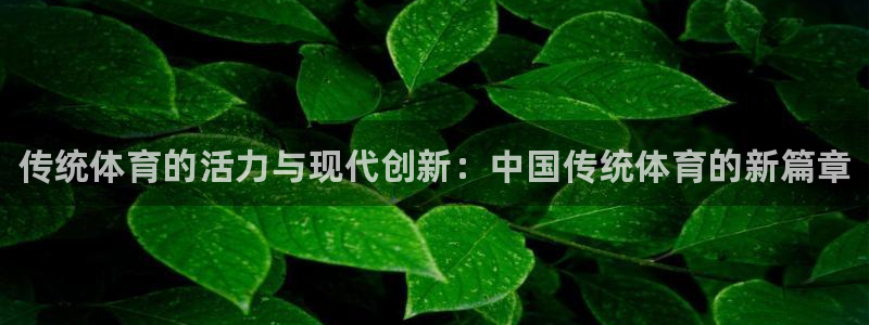 oety欧亿体育官网下载开户：传统体育的活力与现代创新：中国