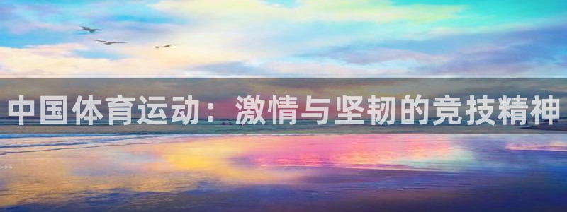 oety欧亿体育官网下载：中国体育运动：激情与坚韧的竞技精神