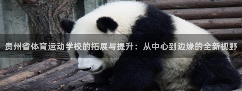 欧亿体育官方正版app娱乐