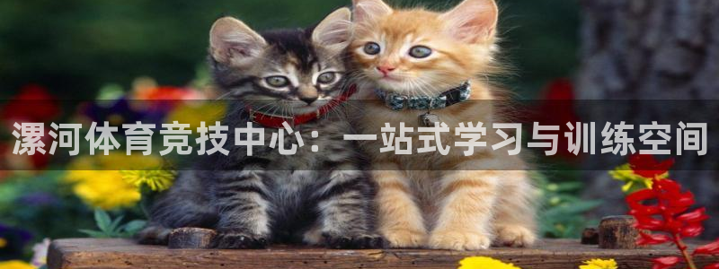 oety欧亿体育官网下载平台是正规平台吗安全吗：漯河体育竞技