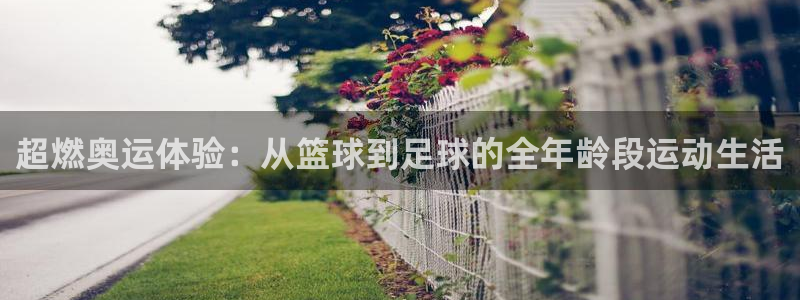 欧亿体育官方正版app官网：超燃奥运体验：从篮球到足球的全年