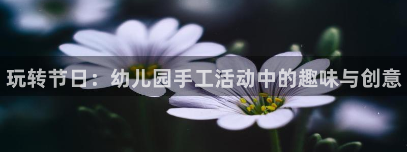 欧亿体育官方正版app集团简介：玩转节日：幼儿园手工