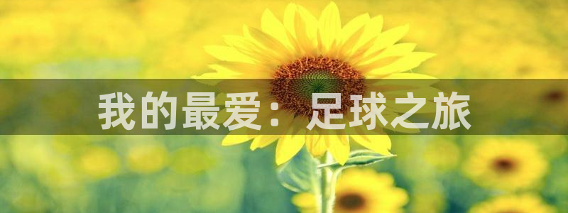 oety欧亿体育官网下载注册：我的最爱：足球之旅