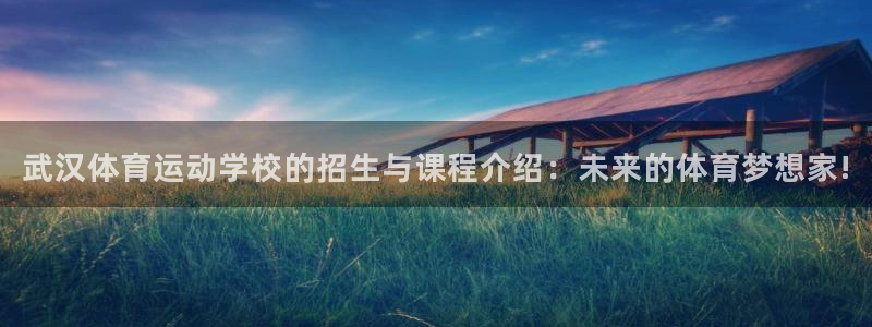 欧亿体育官方正版app集团官网首页网址：武汉体育运动