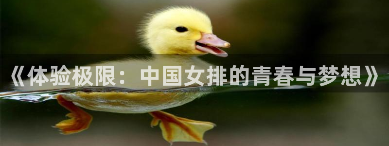 欧亿体育官方正版app娱乐首页网站大全：《体验极限：