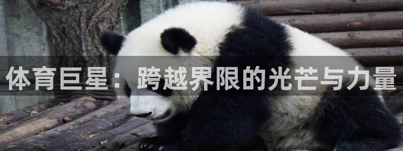 欧亿体育官方正版app开户：体育巨星：跨越界限的光芒