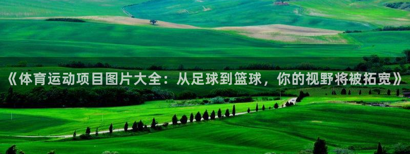 oety欧亿体育官网下载招商电话：《体育运动项目图片