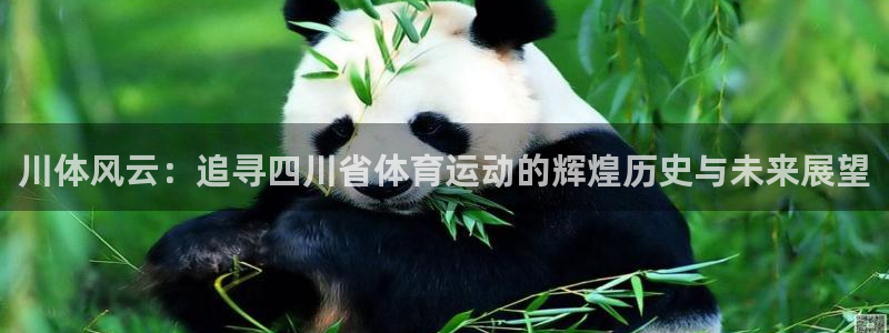 oety欧亿体育官网下载平台注册要钱吗安全吗：川体风