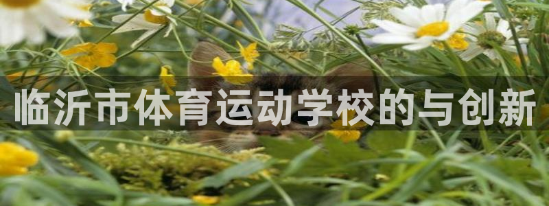 德国欧亿体育官方正版app集团：临沂市体育运动学校的与创新