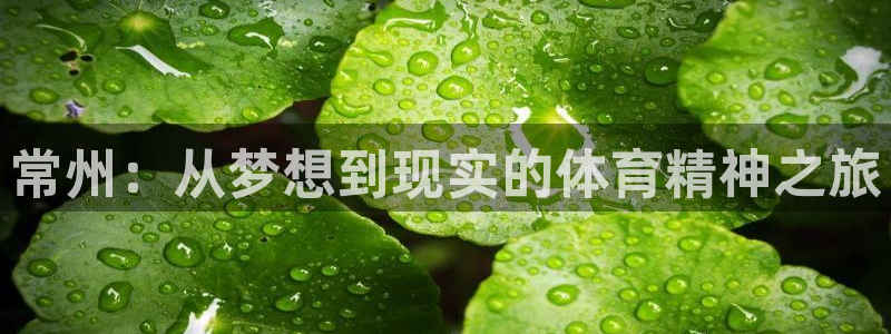 oety欧亿体育官网下载招商