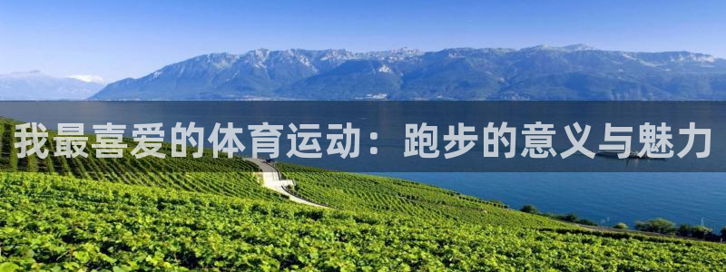 oety欧亿体育官网下载平台注册流程图：我最喜爱的体育运动：