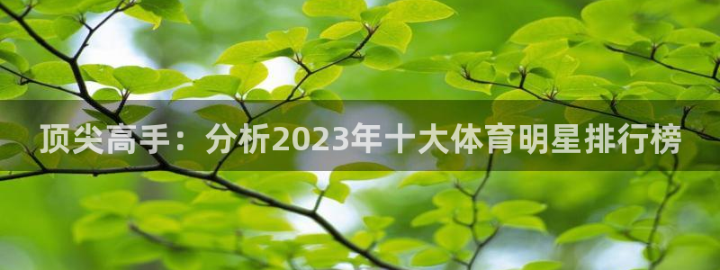 oety欧亿体育官网下载软件：顶尖高手：分析2023年十大体